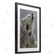 Collin Bogle | Singing Lessons White Wolves