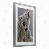 Collin Bogle | Singing Lessons White Wolves