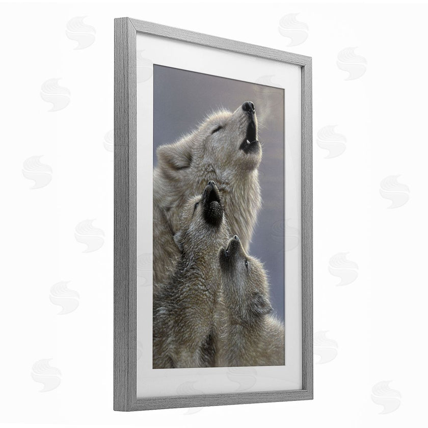 Collin Bogle | Singing Lessons White Wolves