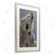Collin Bogle | Singing Lessons White Wolves