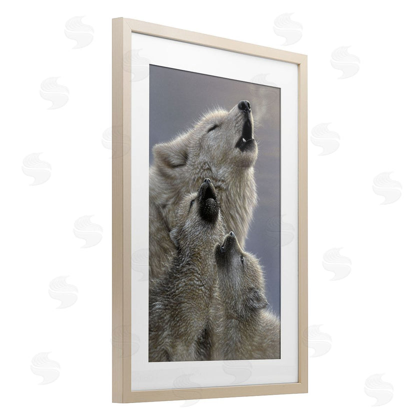Collin Bogle | Singing Lessons White Wolves