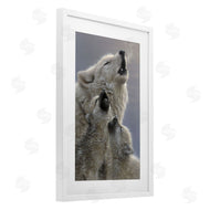 Collin Bogle | Singing Lessons White Wolves
