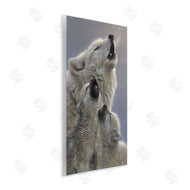 Collin Bogle | Singing Lessons White Wolves