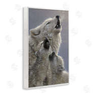 Collin Bogle | Singing Lessons White Wolves