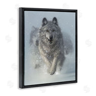 Collin Bogle | Snow Plow Running Wolf Pack