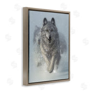Collin Bogle | Snow Plow Running Wolf Pack
