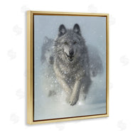 Collin Bogle | Snow Plow Running Wolf Pack