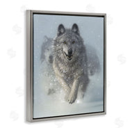 Collin Bogle | Snow Plow Running Wolf Pack