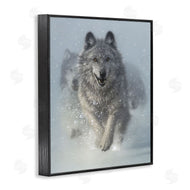 Collin Bogle | Snow Plow Running Wolf Pack