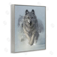 Collin Bogle | Snow Plow Running Wolf Pack
