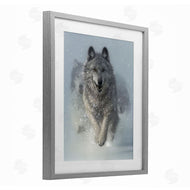 Collin Bogle | Snow Plow Running Wolf Pack