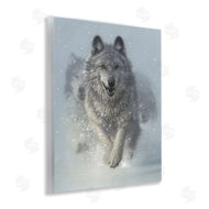 Collin Bogle | Snow Plow Running Wolf Pack