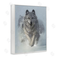 Collin Bogle | Snow Plow Running Wolf Pack