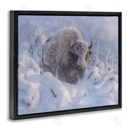 Collin Bogle | Winter Bison In Deep