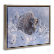Collin Bogle | Winter Bison In Deep