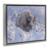Collin Bogle | Winter Bison In Deep