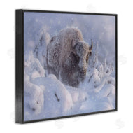 Collin Bogle | Winter Bison In Deep