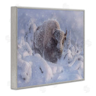 Collin Bogle | Winter Bison In Deep