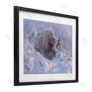 Collin Bogle | Winter Bison In Deep