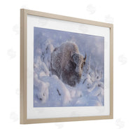 Collin Bogle | Winter Bison In Deep
