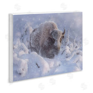 Collin Bogle | Winter Bison In Deep