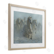 Collin Bogle | Running Wild Horses Splashing