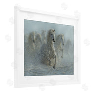 Collin Bogle | Running Wild Horses Splashing