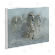 Collin Bogle | Running Wild Horses Splashing