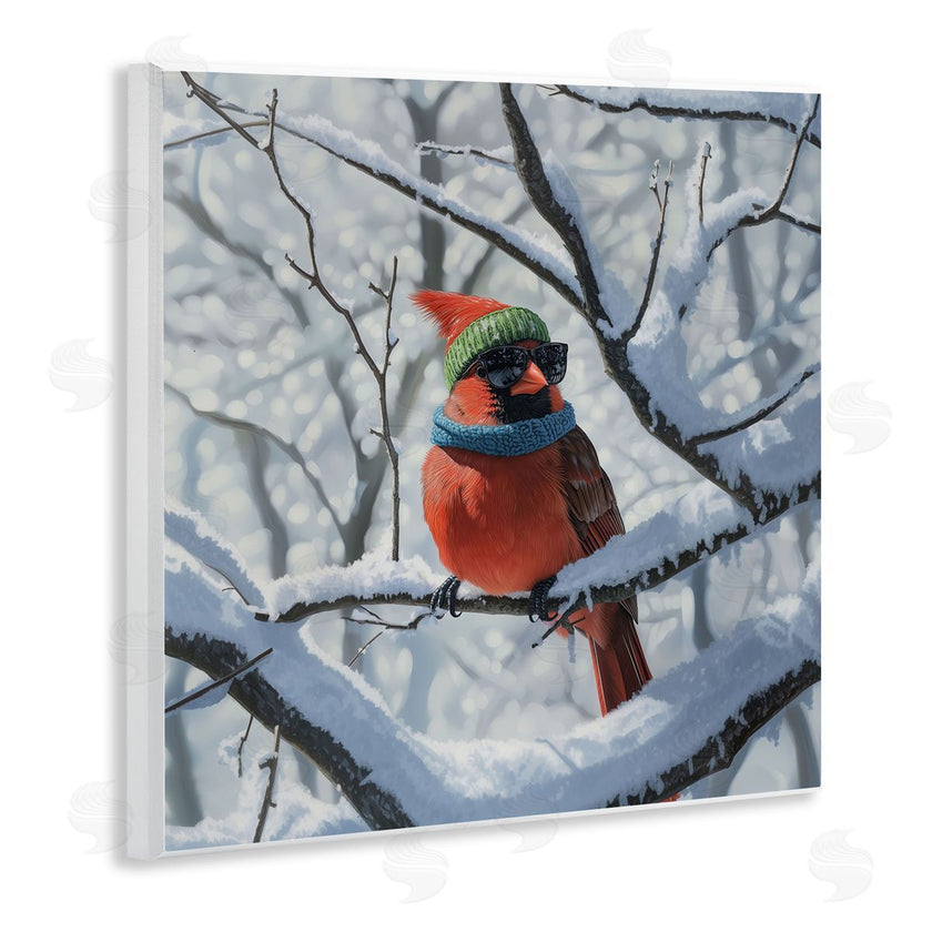 Jim Baldwin | Winter Cool Cardinal