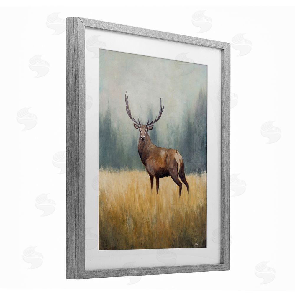 Julia Purinton Forest Royalty Elk Gray Framed Print Under Glass Art