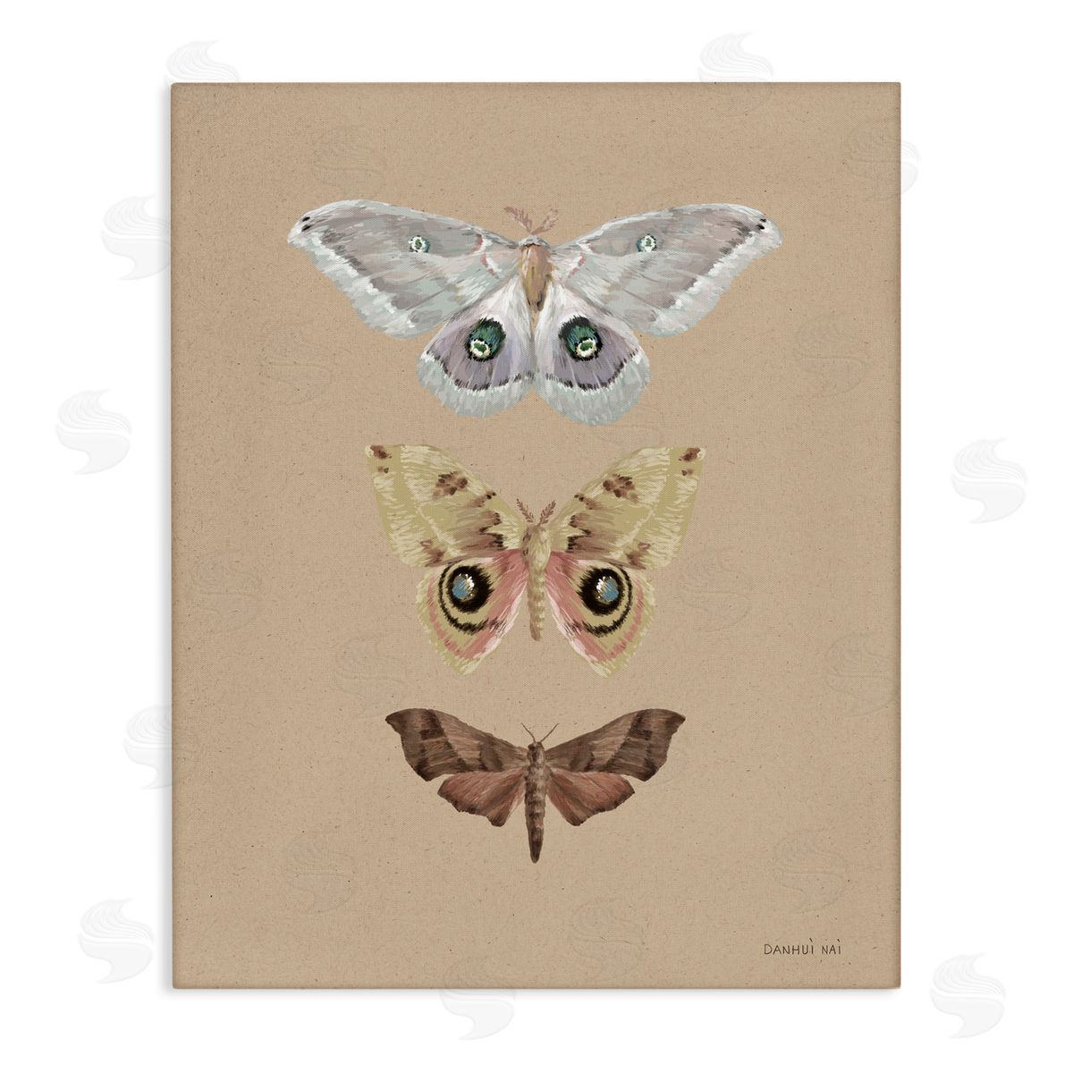 Danhui Nai Beauty Of Forest Moths Canvas Wall Art Print