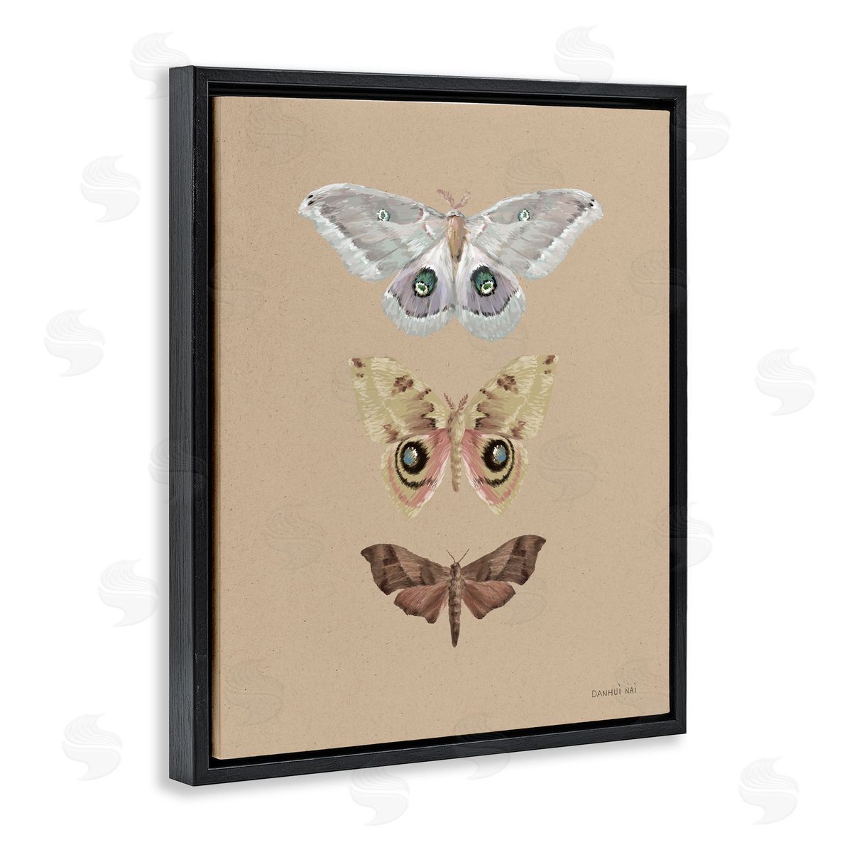 Danhui Nai Beauty Of Forest Moths Black Floating Frame Canvas Wall Art Print