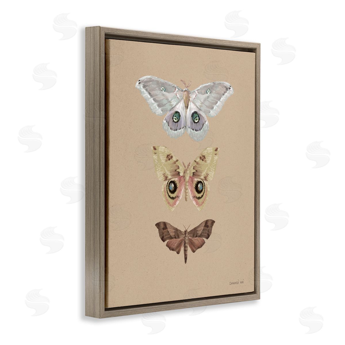 Danhui Nai Beauty Of Forest Moths Brown Floating Frame Canvas Art Print