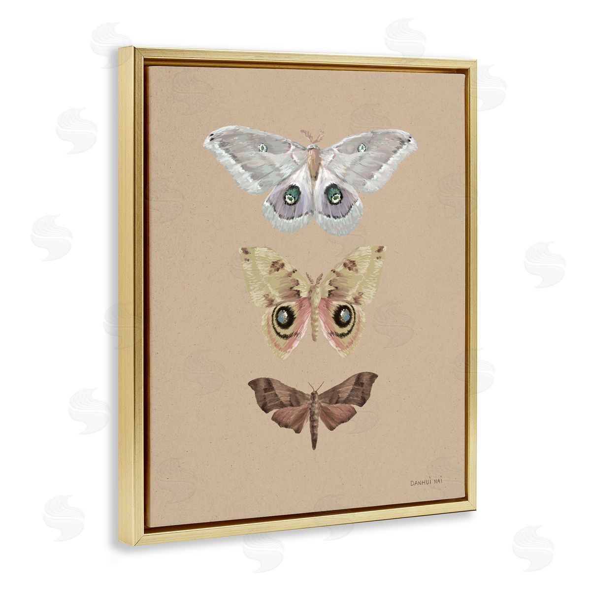 Danhui Nai Beauty Of Forest Moths Gold Floating Frame Canvas Art Print