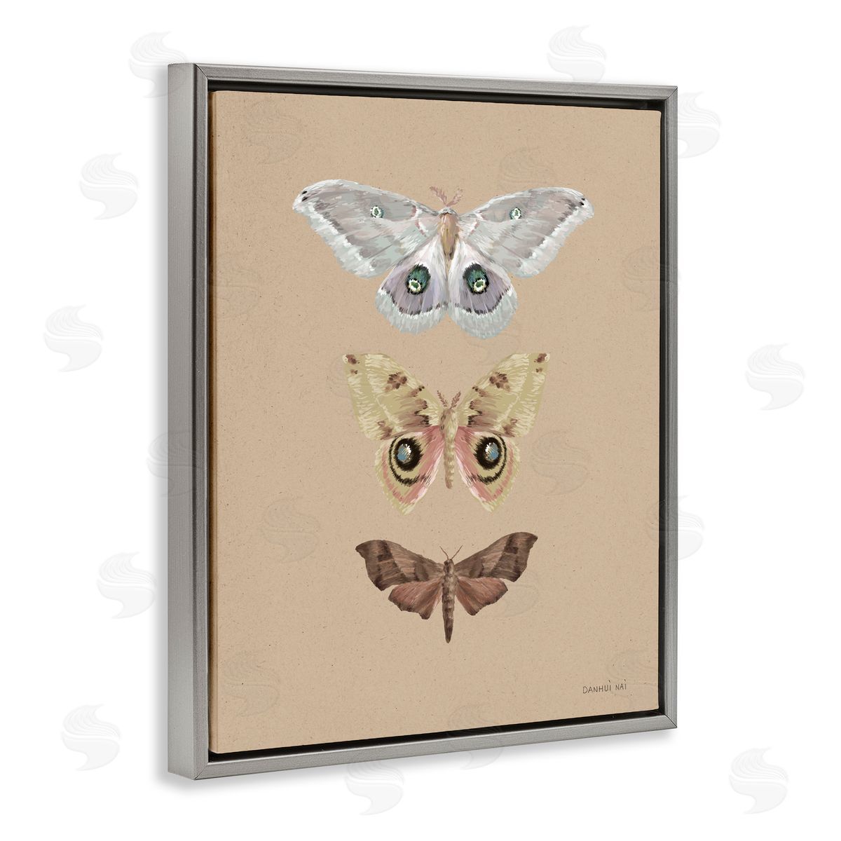 Danhui Nai Beauty Of Forest Moths Gray Floating Frame Canvas Art Print