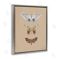 Danhui Nai | Beauty Of Forest Moths