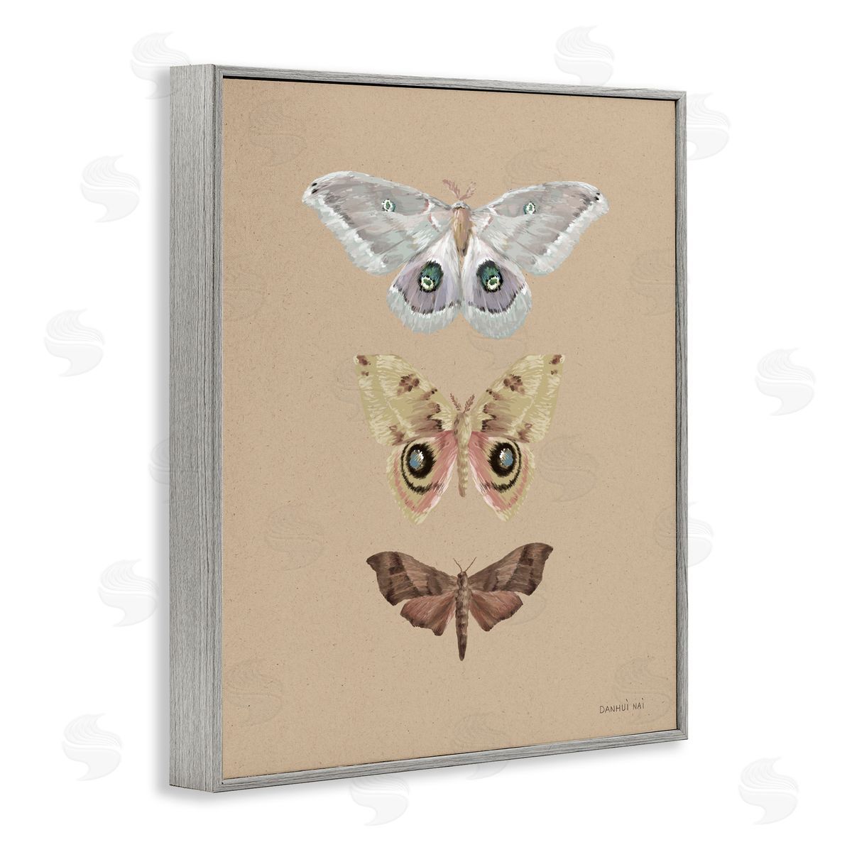 Danhui Nai Beauty Of Forest Moths Gray Framed Giclee Art Print