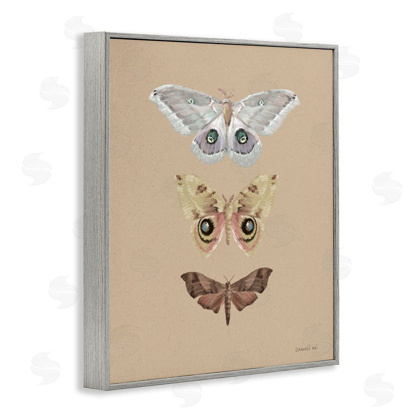 Danhui Nai | Beauty Of Forest Moths