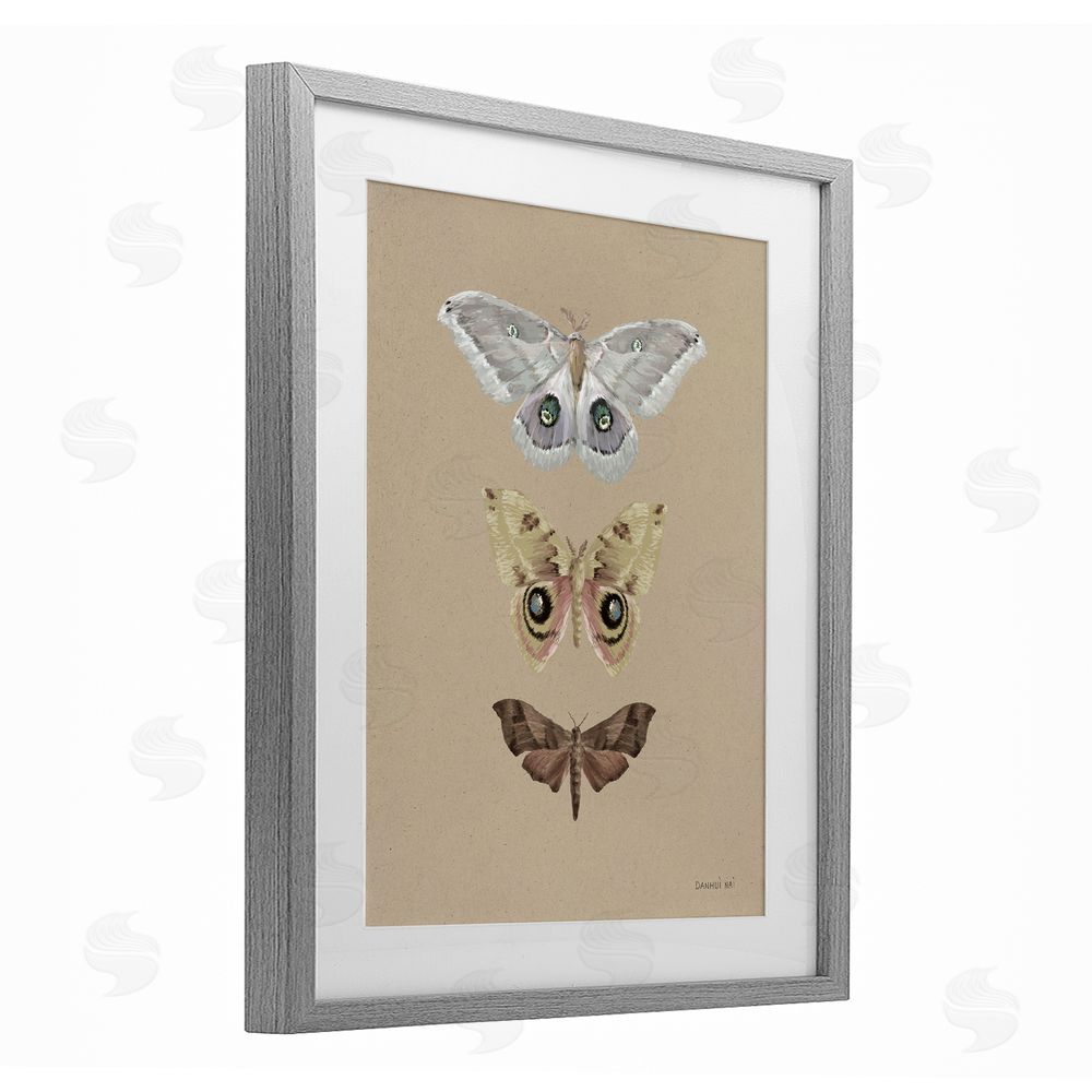 Danhui Nai Beauty Of Forest Moths Gray Framed Print Under Glass Art