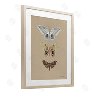 Danhui Nai | Beauty Of Forest Moths