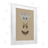 Danhui Nai | Beauty Of Forest Moths