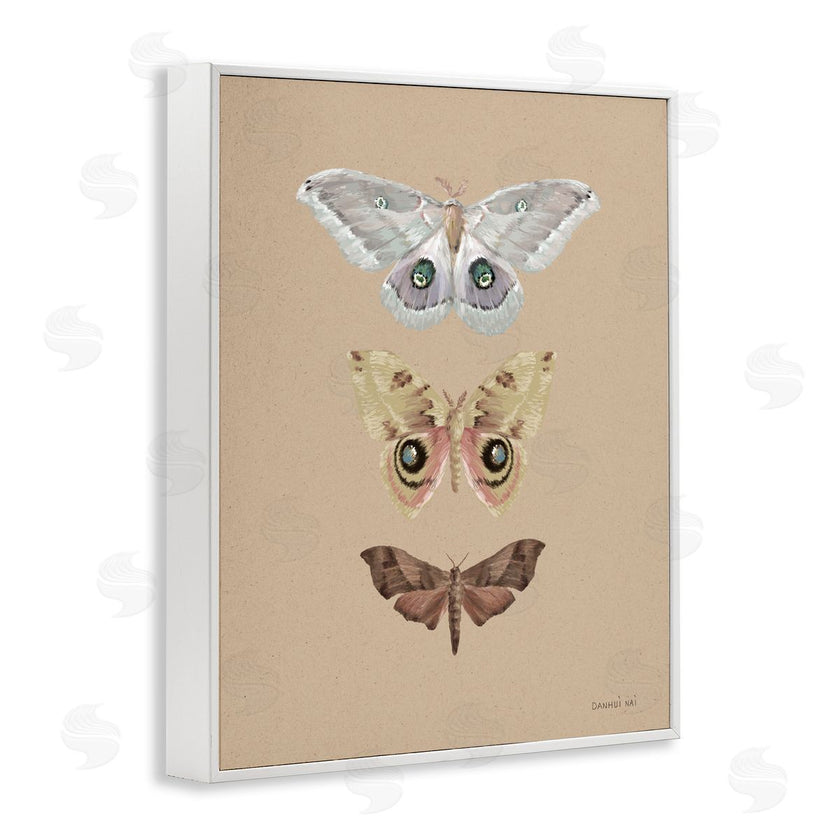 Danhui Nai | Beauty Of Forest Moths