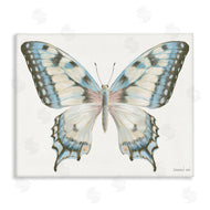 Danhui Nai | Blue Brown Accent Butterfly