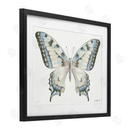 Danhui Nai | Blue Brown Accent Butterfly