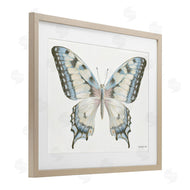 Danhui Nai | Blue Brown Accent Butterfly