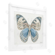 Danhui Nai | Blue & White Butterfly