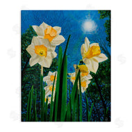 Ann Jasperson | Daffodils Under The Sun