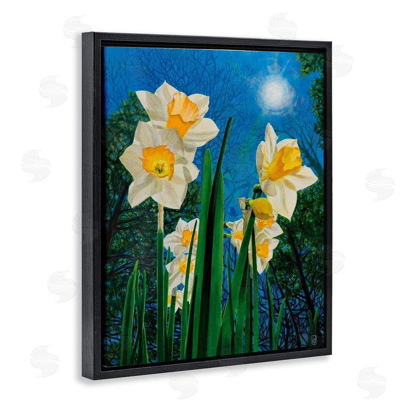 Ann Jasperson | Daffodils Under The Sun