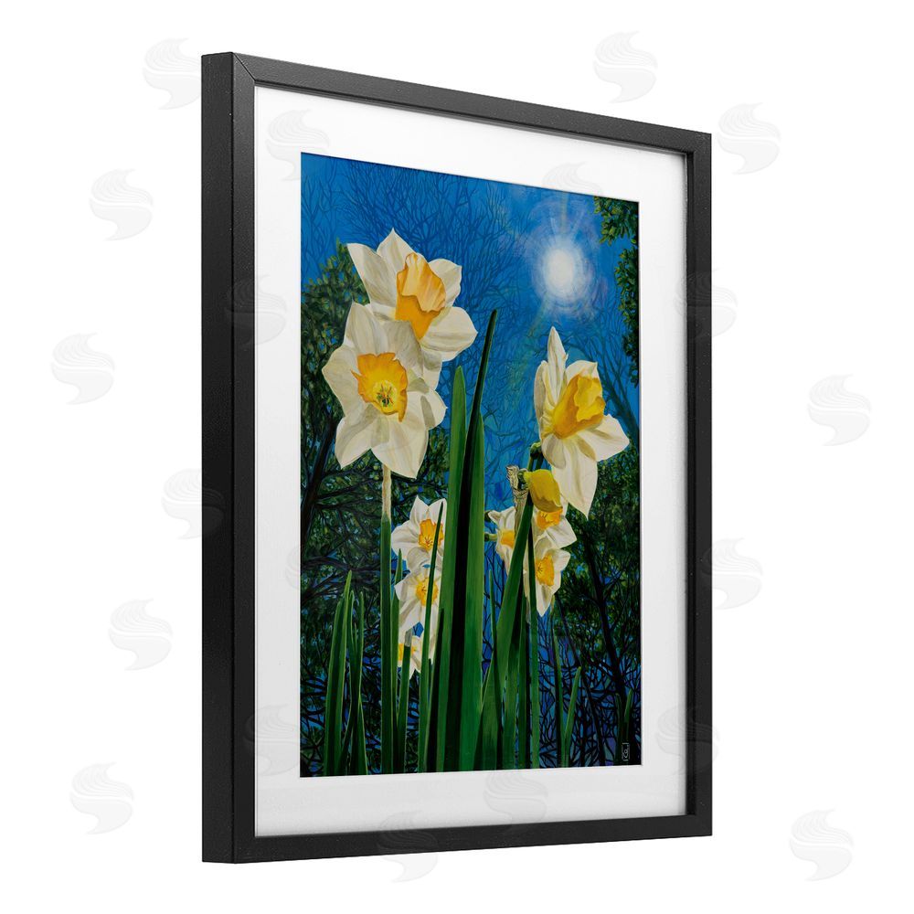 Ann Jasperson Daffodils Under The Sun Black Framed Print Under Glass Art