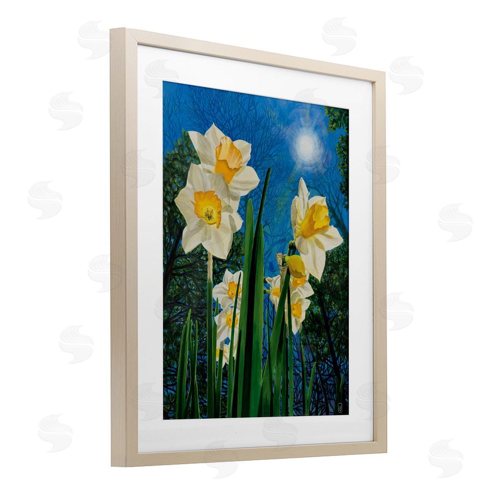 Ann Jasperson Daffodils Under The Sun Birch Framed Print Under Glass Art